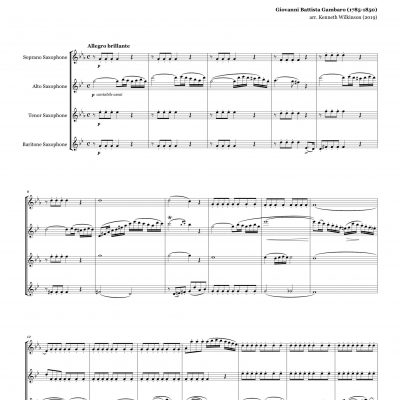 Quartet in D minor by Giovanni Gambaro.